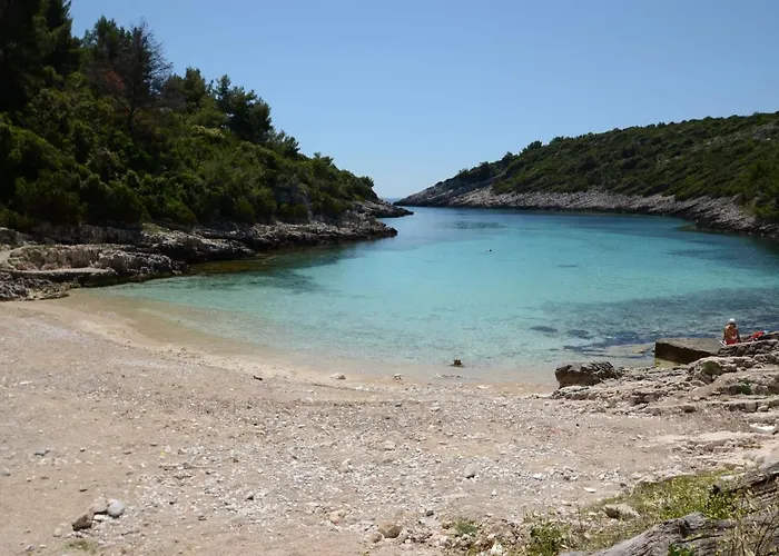 Jasenka * زافالاتيكا