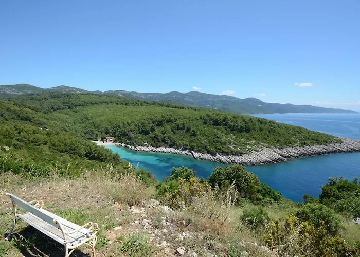 Jasenka * زافالاتيكا